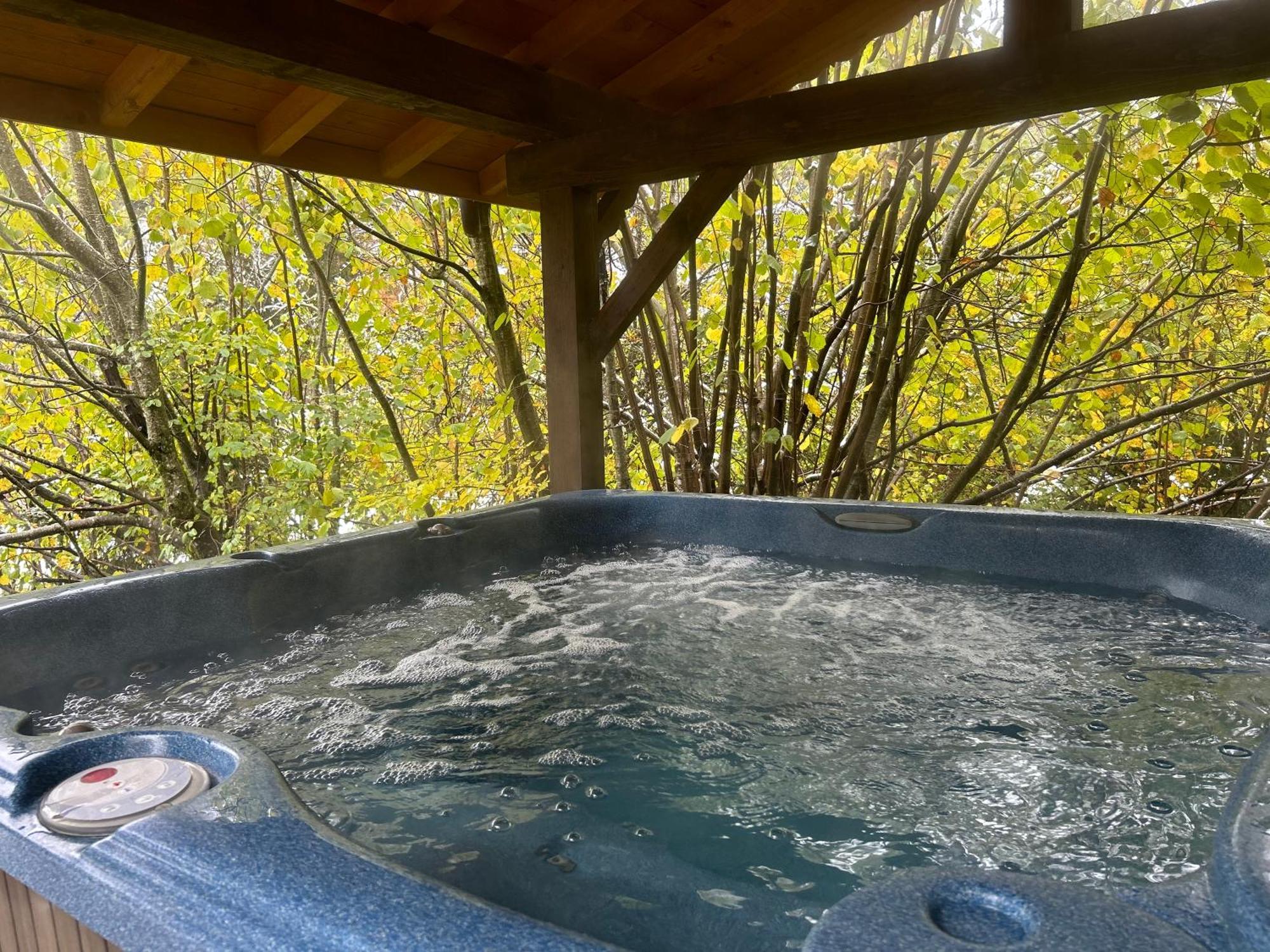 Chalet Adonis - Montriond, Morzine, Avoriaz 외부 사진
