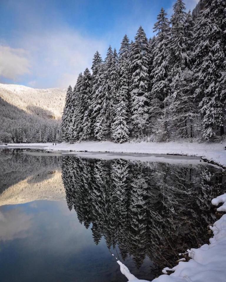 Chalet Adonis - Montriond, Morzine, Avoriaz 외부 사진